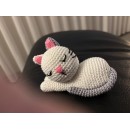 Katze schlafend Katze schlafend